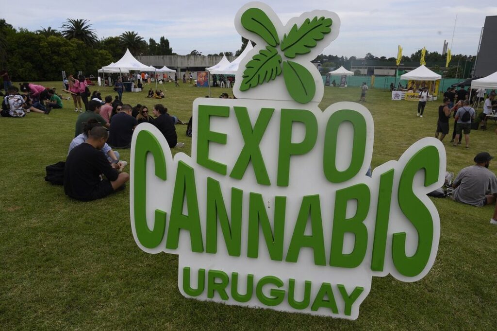 Imagem da versão de 2021 da feira no Uruguai. Expo Cannabis 2021 - Foto: PABLO PORCIUNCULA / AFP