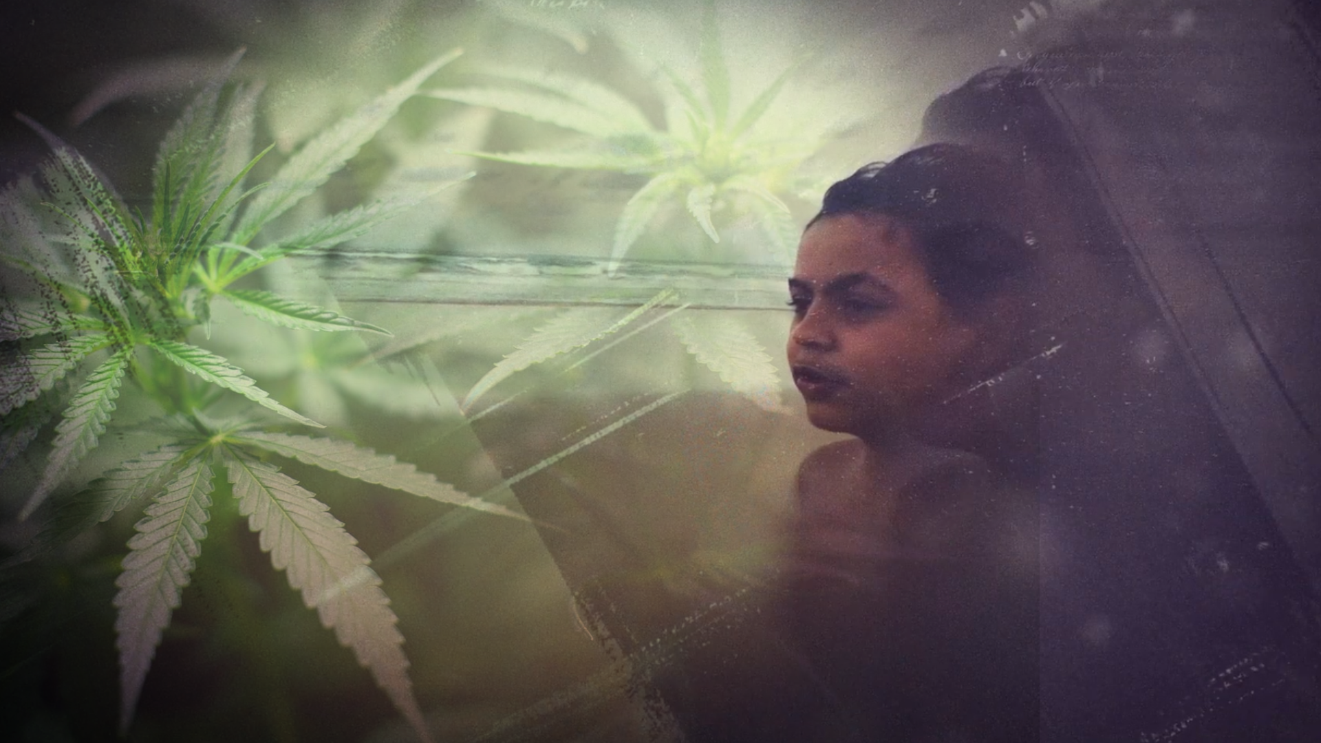 O caso do Menino Guy: Autismo e Cannabis Medicinal